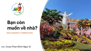 Bạn Còn Muốn Về Nhà?
