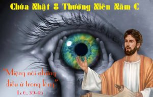 Suy Niệm Chúa Nhật 8 TN-C: Mù không thể dắt mù