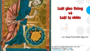 LUẬT GIAO THÔNG VÀ LUẬT TỰ NHIÊN