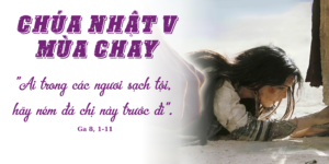 Đừng ném đá. Xin đừng. Hãy bỏ đá xuống