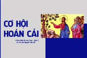 Cơ Hội Hoán Cải