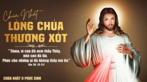 Cảm nhận và làm chứng cho Lòng Chúa xót thương