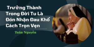 Trưởng Thành Trong Đời Tu Là Đón Nhận Đau Khổ Cách Trọn Vẹn