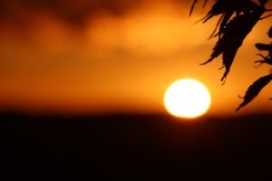 Tiết Độ giúp thanh thoát