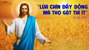 Suy Niệm Chúa Nhật XIV Thường Niên Năm C