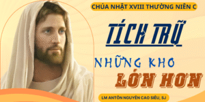 Suy Niệm Phúc Âm Chúa Nhật 18 Thường Niên Năm C (Lc 12,13-21)