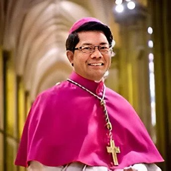 Vincent Nguyễn Văn Long