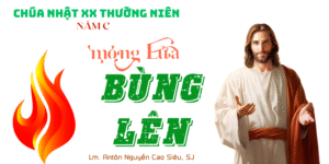 Suy Niệm Phúc Âm Chúa Nhật 20 Thường Niên Năm C (Lc 12,49-53)