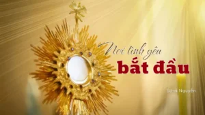 Nơi Tình Yêu Bắt Đầu