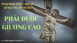 SUY NIỆM PHÚC ÂM CHÚA NHẬT SUY TÔN THÁNH GIÁ (Ga 3,13-17)