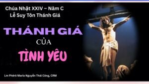 Chúa Nhật XXIV – Năm C: Lễ Suy Tôn Thánh Giá