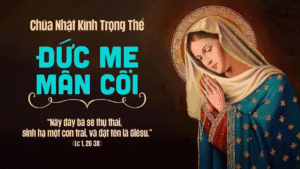 SUY NIỆM CHÚA NHẬT XXVII THƯỜNG NIÊN – KÍNH TRỌNG THỂ ĐỨC MẸ MÂN CÔI