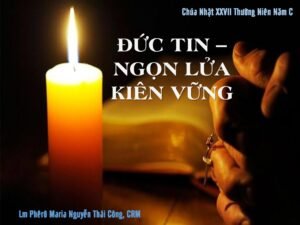 Bài giảng Chúa Nhật XXVII Thường Niên – Năm C