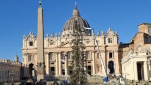 Cây thông Noel và Hang đá từ Ý và Costa Rica sẽ đến Vatican mùa Giáng sinh 2025