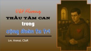 Vết thương thấu tâm can trong cộng đoàn tu trì