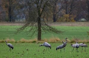 Các nhà lãnh đạo tôn giáo Pháp kêu gọi hành động cụ thể trước thềm COP30