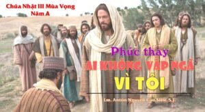 SUY NIỆM PHÚC ÂM CHÚA NHẬT 3 MÙA VỌNG NĂM A (Mt 11,2-11)