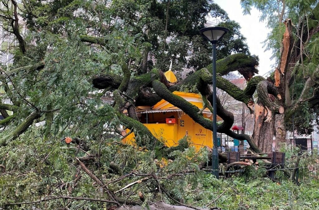 Đức Thánh Cha Lêô XIV cầu nguyện cho các nạn nhân của bão Kristin ở Bồ Đào Nha