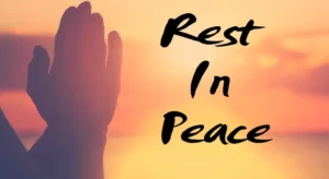 Rip Gđth Tháng 02/2026