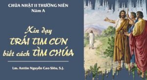 SUY NIỆM PHÚC ÂM CHÚA NHẬT 2 THƯỜNG NIÊN NĂM A (Ga 1,29-34)