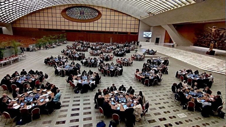 Nhóm nghiên cứu Thượng Hội đồng: vấn đề phó tế nữ “chưa chín muồi”