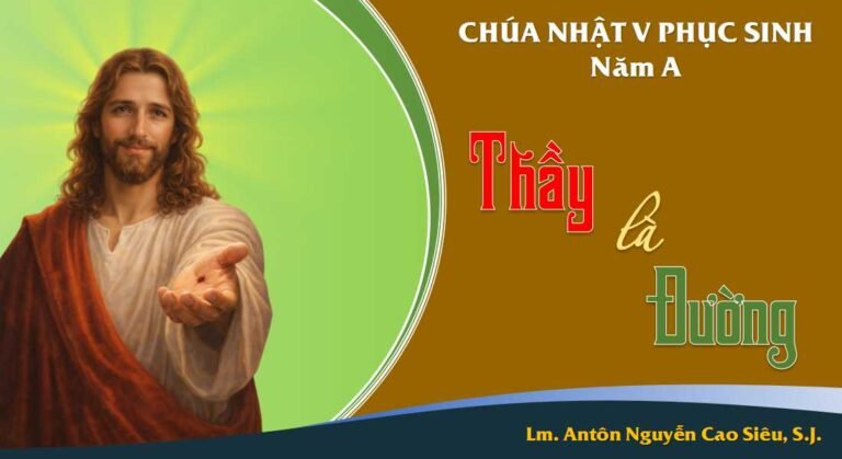 SUY NIỆM PHÚC ÂM CHÚA NHẬT 5 PHỤC SINH NĂM A (Ga 14,1-12)