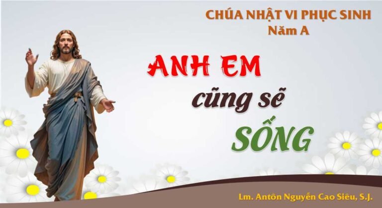 SUY NIỆM PHÚC ÂM CHÚA NHẬT 6 PHỤC SINH NĂM A (Ga 14,15-21)
