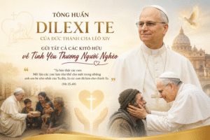 TÔNG HUẤN DILEXI TE