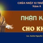 SUY NIỆM PHÚC ÂM CHÚA NHẬT 11 THƯỜNG NIÊN NĂM A (Mt 9,36 – 10,8)