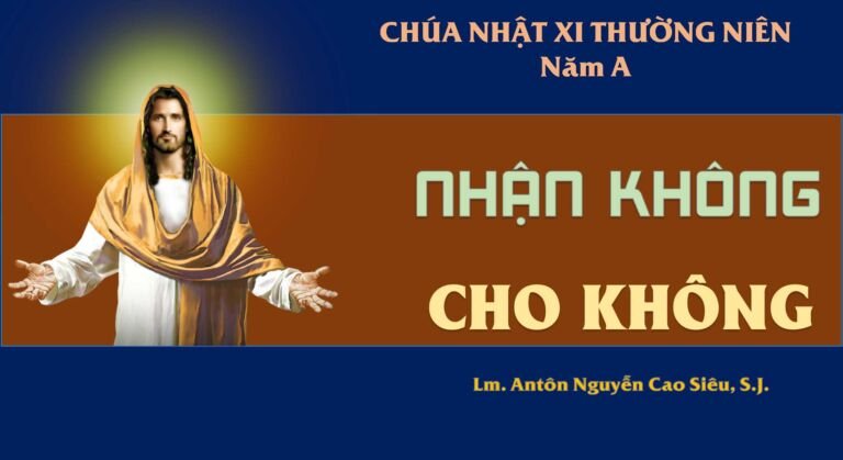 SUY NIỆM PHÚC ÂM CHÚA NHẬT 11 THƯỜNG NIÊN NĂM A (Mt 9,36 – 10,8)