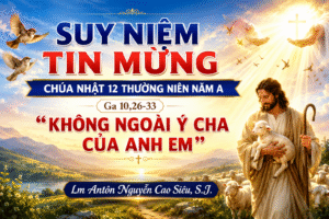 Suy Niệm Tin Mừng Chúa Nhật 12 Thường Niên Năm A