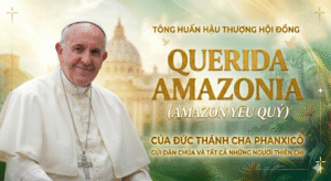 TÔNG HUẤN HẬU THƯỢNG HỘI ĐỒNG  QUERIDA AMAZONIA