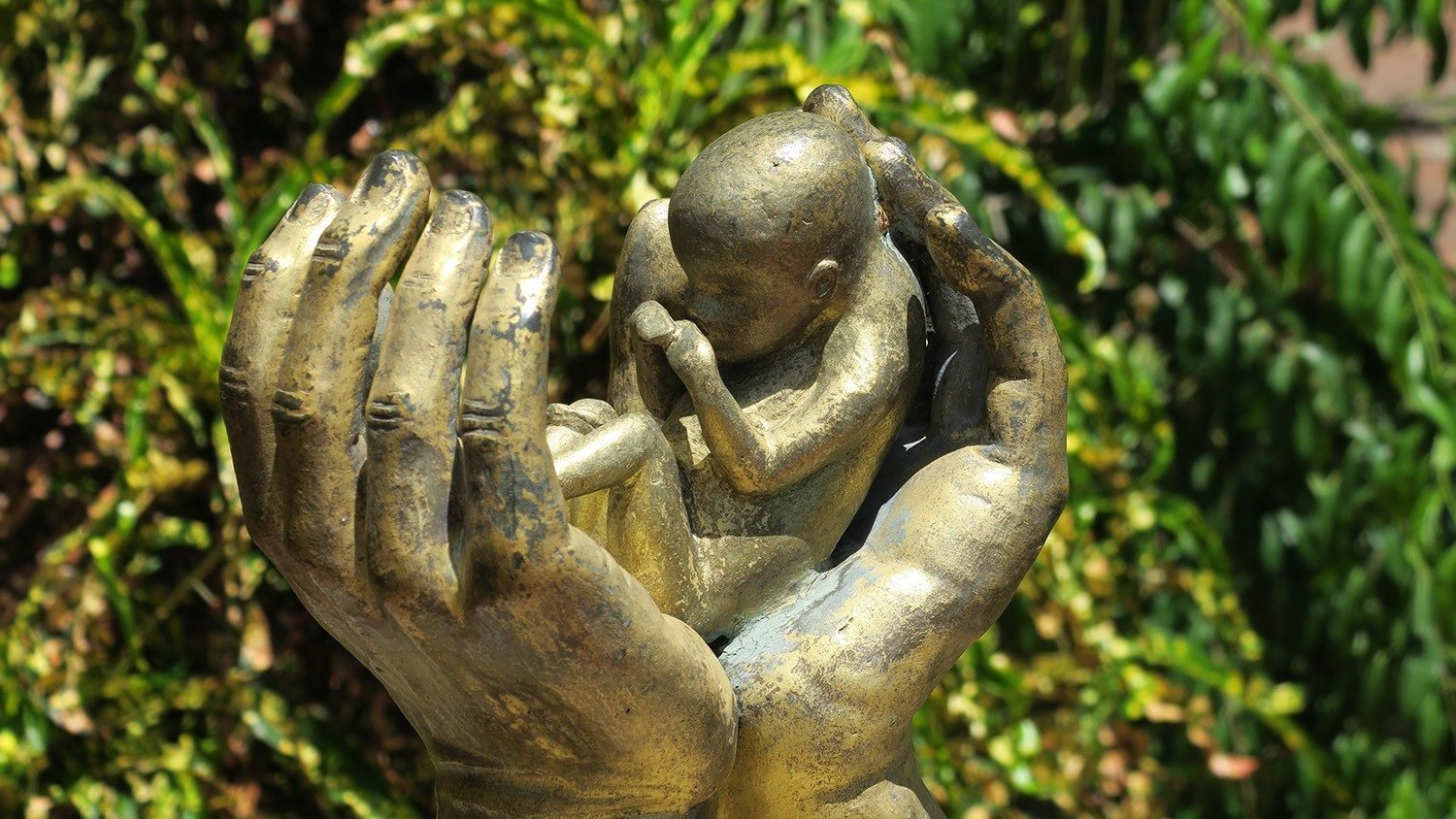 Bảo vệ sự sống – lời mời gọi của Đức Thánh Cha trong một thế giới còn nhiều đe dọa đối với sự sống