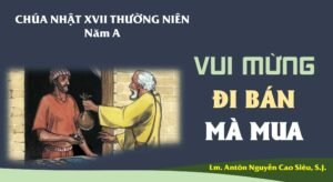 SUY NIỆM PHÚC ÂM CHÚA NHẬT 17 THƯỜNG NIÊN NĂM A (Mt 13,44-52)