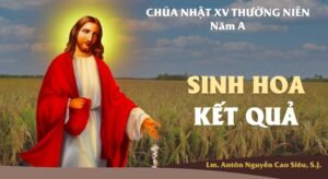 SUY NIỆM PHÚC ÂM CHÚA NHẬT 15 THƯỜNG NIÊN NĂM A (Mt 13,1-23)