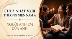 SUY NIỆM PHÚC ÂM CHÚA NHẬT 23 THƯỜNG NIÊN NĂM A (Mt 18,15-20)