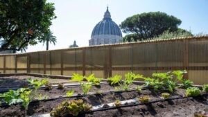 Vườn rau của Đức Giáo hoàng ở Vatican trở thành vườn canh tác hữu cơ 100%