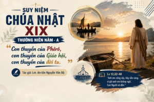 Con thuyền của Phêrô, con thuyền của Giáo hội, con thuyền của đời ta