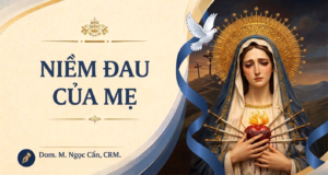 NIỀM ĐAU CỦA MẸ