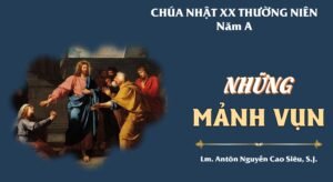 SUY NIỆM PHÚC ÂM CHÚA NHẬT 20 THƯỜNG NIÊN NĂM A (Mt 15,21-28)