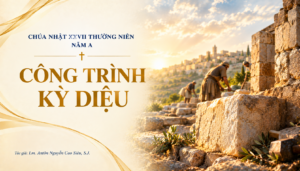 SUY NIỆM PHÚC ÂM CHÚA NHẬT 27 THƯỜNG NIÊN NĂM A (Mt 21,33-43)