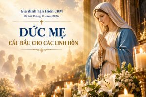 ĐỀ TÀI THÁNG 11 NĂM 2026: ĐỨC MẸ CẦU BẦU CHO CÁC LINH HỒN