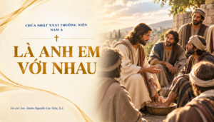 SUY NIỆM PHÚC ÂM CHÚA NHẬT 31 THƯỜNG NIÊN NĂM A (Mt 23,1-12)